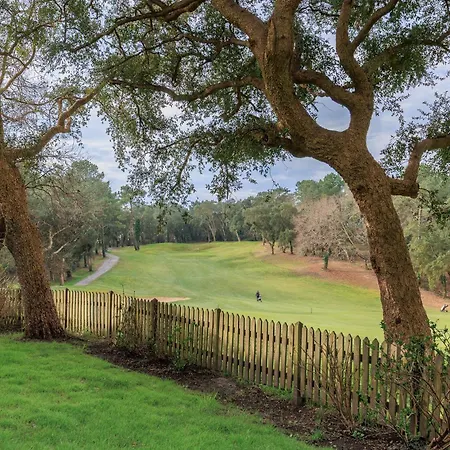 Daniel Moliets-et-Maa