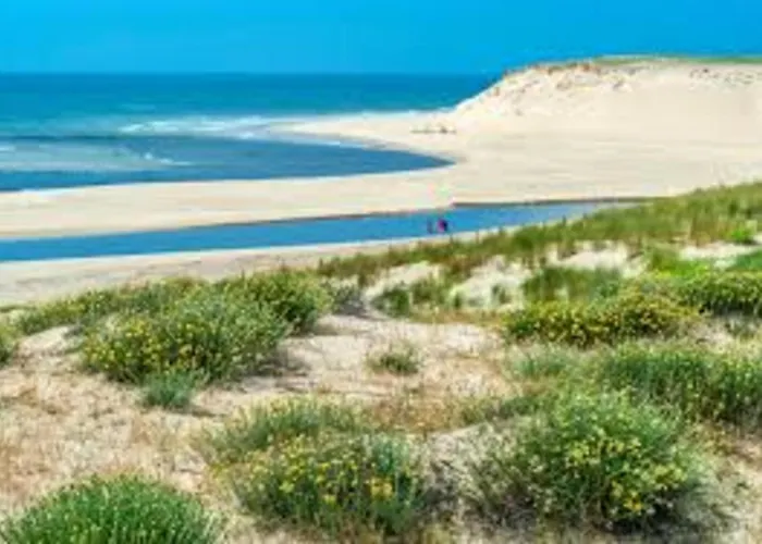 Διαμέρισμα Daniel *