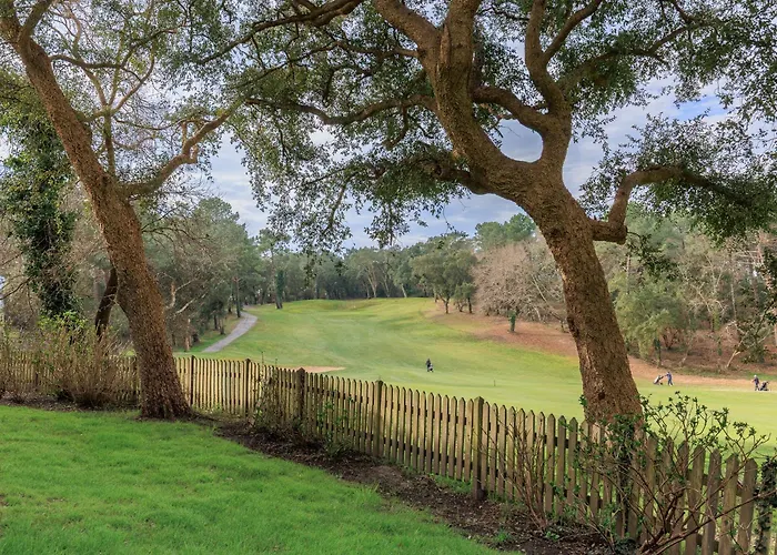 Daniel Мольез-е-Маа